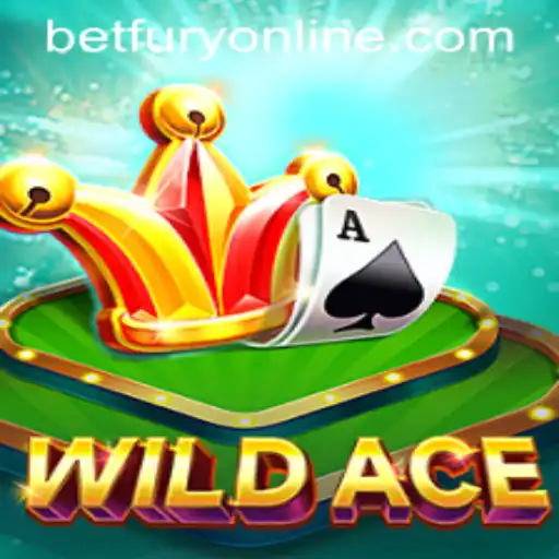 Exploring the Thrill of WildAce on BetFury